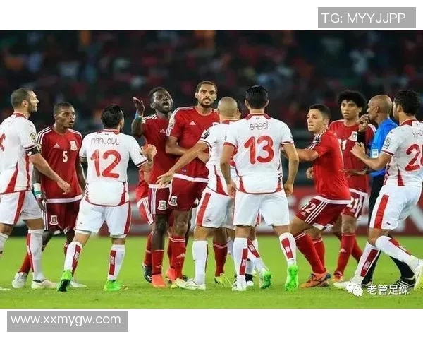 非洲杯加纳与突尼斯对决比分分析及预测展望